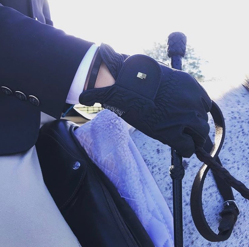 Vibershield in the equestrian world